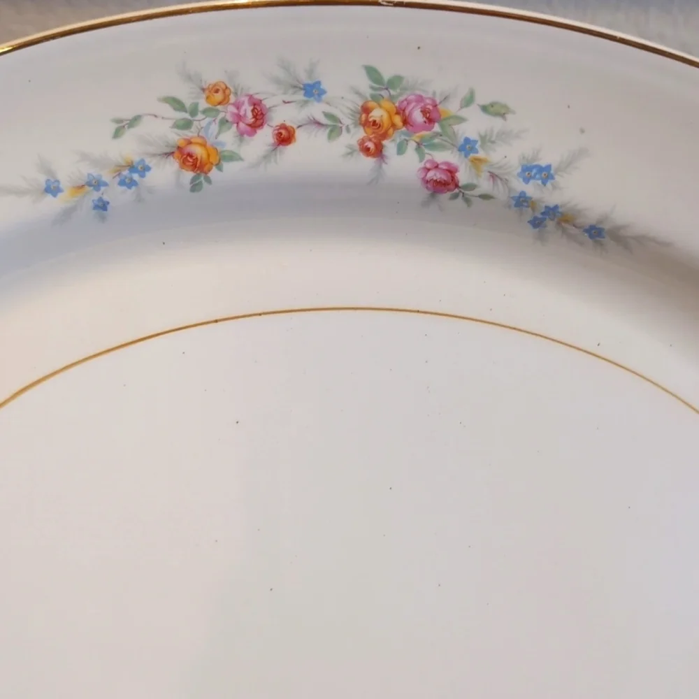 40's Homer Laughlin Eggshell Nautilus Ferndale Oval Serving Platter 15.5